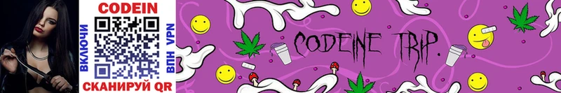 Кодеин Purple Drank  мега зеркало  Отрадное  купить  цена 