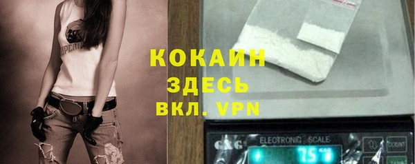 сатива Каменка