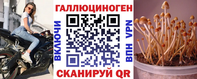 ссылка на мегу ТОР  хочу наркоту  Отрадное  Галлюциногенные грибы Psilocybine cubensis 